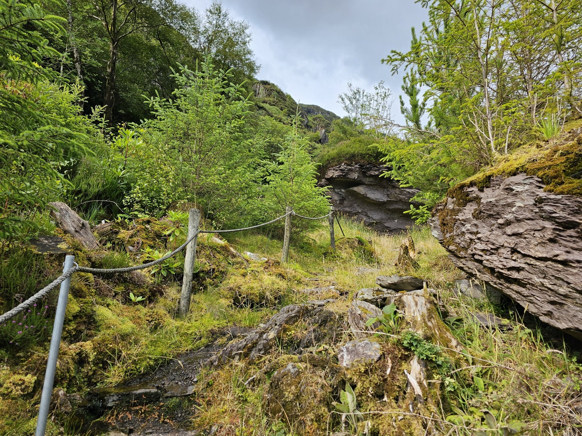 Inse an t-Sagairt path