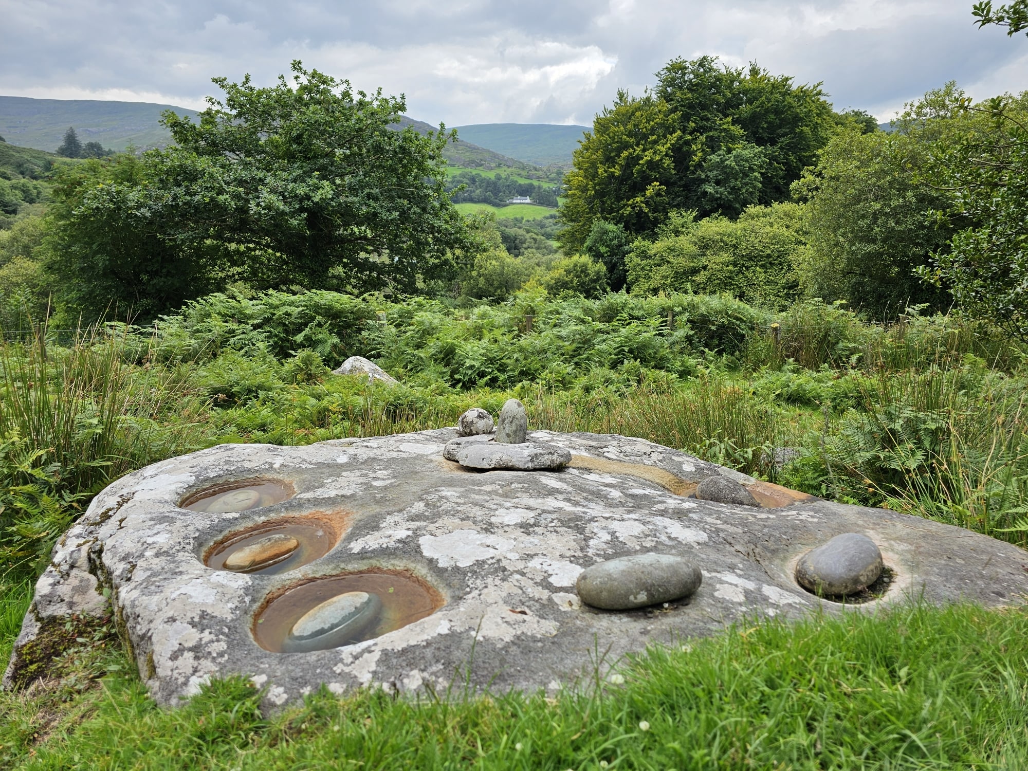 The Rolls of Butter View